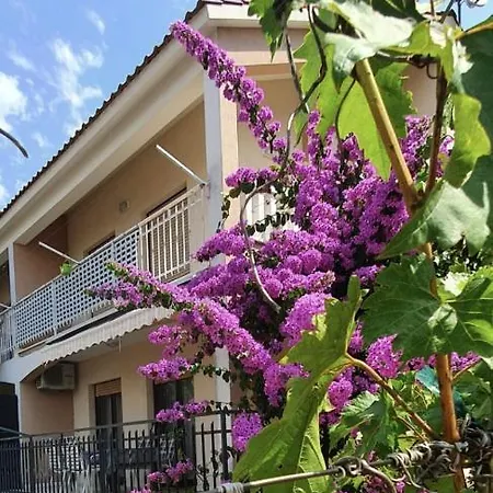 Apartment Half Of House To Rent - Family Zelenika *